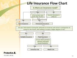 Clc 1025 Life Insurance And You Covering The Basics Of Life