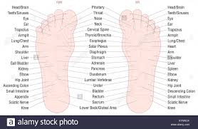 Foot Reflexology Zone Massage Chart With Areas And Names Of