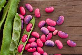 runner beans information and ion