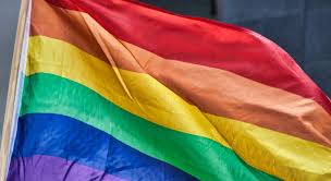 Dia internacional do Orgulho Gay: Saiba o que significa cada letra da sigla  LGBTQIA+ | NE10 Interior