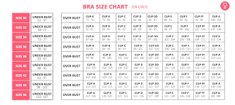 Bra Size Calculator In Cm How To Measure Bra Size Chart