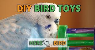 diy bird toys make easy homemade toys