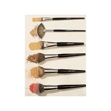 swiss beauty professional makeup brush set 12pcs set