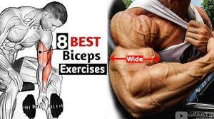 8 best dumbbell biceps exercises get