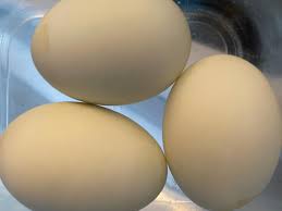 large duck eggs nutrition facts eat