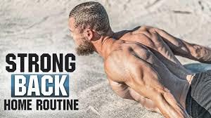 no gym full back workout at home no