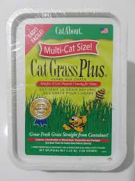 I've grown cat grass many different ways over the years for our girls and think i finally nailed the perfect way, that looks beautiful and doesn't make a huge mess! Miracle Care Catabout Easy To Grow Cat Grass Or Cat Nip Container Chikmi Com