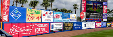 Image result for baseball windscreen logos