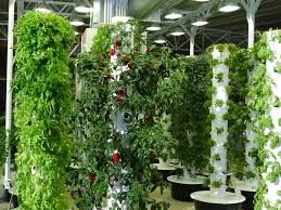 #9 pvc pipes used as succulent planters. Homemade Garden Tower Ideas For Building A Tower Garden