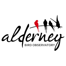 A network of 13,000+ garden birdwatchers and citizen scientists, spread across britain and ireland, and organised by @_bto. Bailiwick Big Garden Birdwatch Alderney Bird Observatory And Field Centre