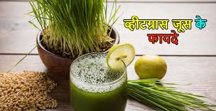 drink wheatgr juice for energy and