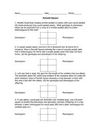 Monohybrid punnett square answer keys worksheets learny kids. Genetics Introduction To Monohybrid Cross By Goby S Lessons Tpt