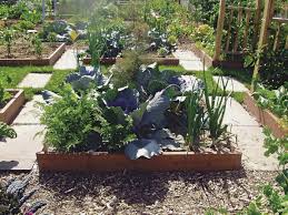 Basics Of Square Foot Gardening