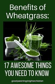 benefits of wheatgr 17 awesome