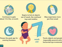 Your 7 Week Old Baby Development Milestones