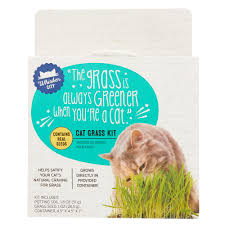 The grass will be ready for your cat to eat in 10 to 14 days after sprouting, or once it has reached a height of four inches, and will last one to three weeks. Whisker City Cat Grass Kit Cat Catnip Petsmart