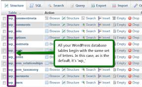 changing the wordpress database table
