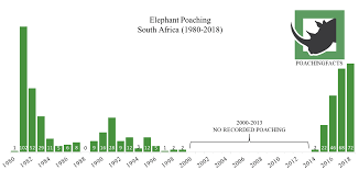 Elephant Poaching Statistics Poaching Facts