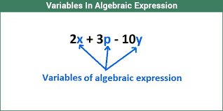 In Algebraic Expressions