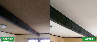asbestos removal and textured ceiling