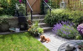 How To Keep Pets Out Of Gardens