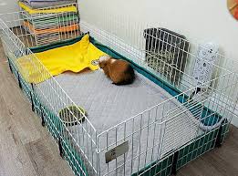 How To Make Guinea Pig Cage Liners Diy