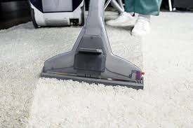 carpet cleaning l charlevoix mi l