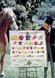 Horses of TV and Movies Scrapbook