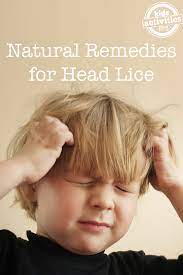 natural remes for lice kids