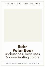 Behr Polar Bear A Complete Color