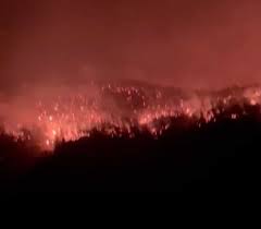 Adana'nın kozan ilçesinde çıkan orman yangınını kontrol altına alma çalışmaları devam ediyor. 5e12dy8jsegt0m