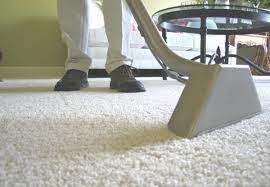 prime carpet cleaning grabone nz