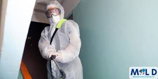 mold remediation texas mold removal