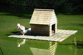 Does anyone here know how to build a floating duck platform? Floating Duck House Woodworking Talk Woodworkers Forum Duck House Plans Floating Duck House Duck House Diy