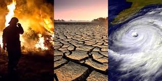 Causes of Climate Change - Msrblog