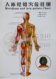 Details About Chinese Medicine Body Acupuncture Points Meridians And Acupoints Chart