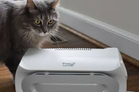 the 7 best air purifiers for pets of