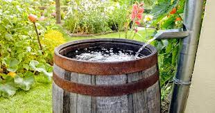 How To Choose A Rain Barrel For Your
