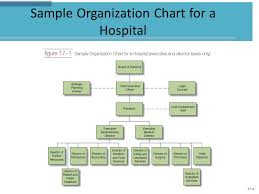 Hospital Org Chart Hospital Organizational Chart Template