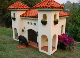 amazing dog house designs