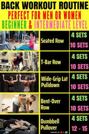 Effective Back Workouts For Beginners Your Lifestyle Options