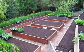 Vegetable Garden Layout And Ways To