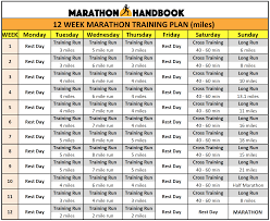 marathon handbook 12 week marathon