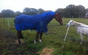 a fully waterproof turnout rug that s
