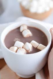 homemade hot chocolate rich and