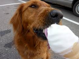He has two ice creams (plural and therefore countable) and he will give you one ice cream (also countable). We People All Scream For Ice Cream St Bernard S Animal Medical Center