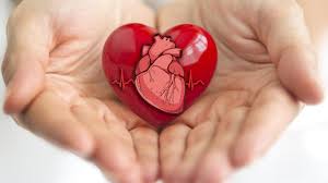 Image result for world heart day