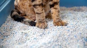 Kitty Litter Is The Answer To Reducing