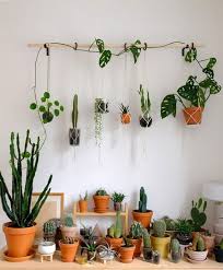 18 Diy Plant Wall Ideas For Indoor Diys