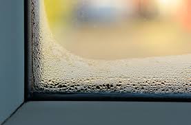 condensation between glass windows